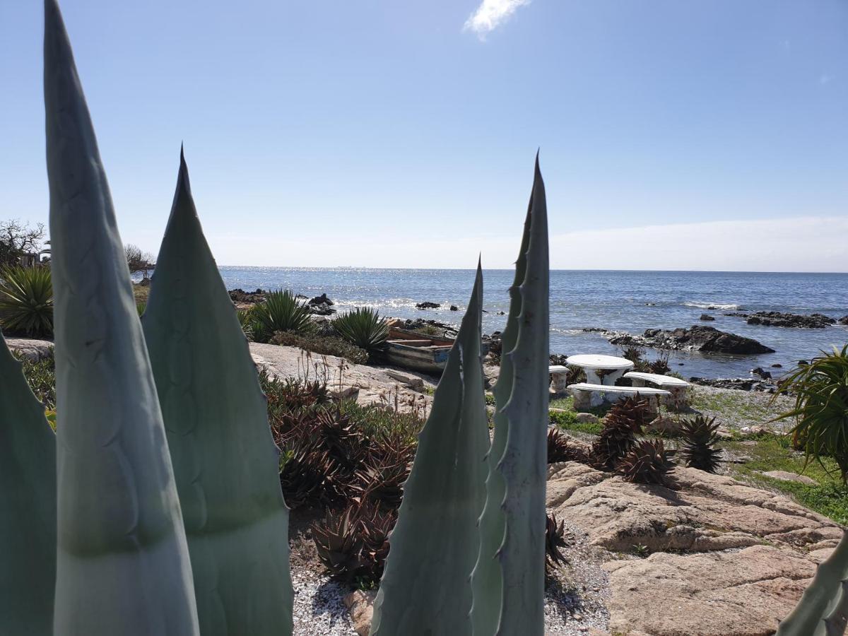 Westbed Otel Langebaan Dış mekan fotoğraf