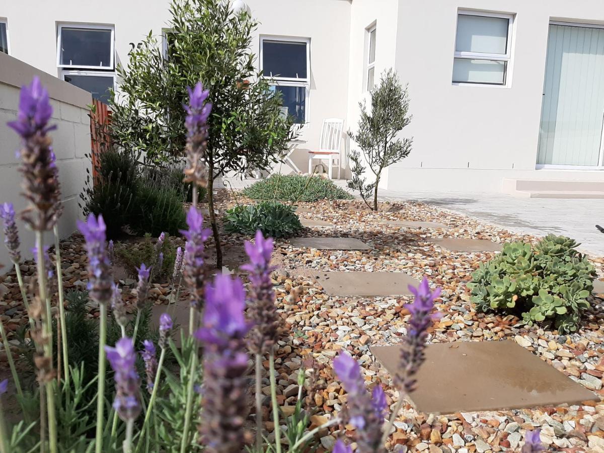 Westbed Otel Langebaan Dış mekan fotoğraf